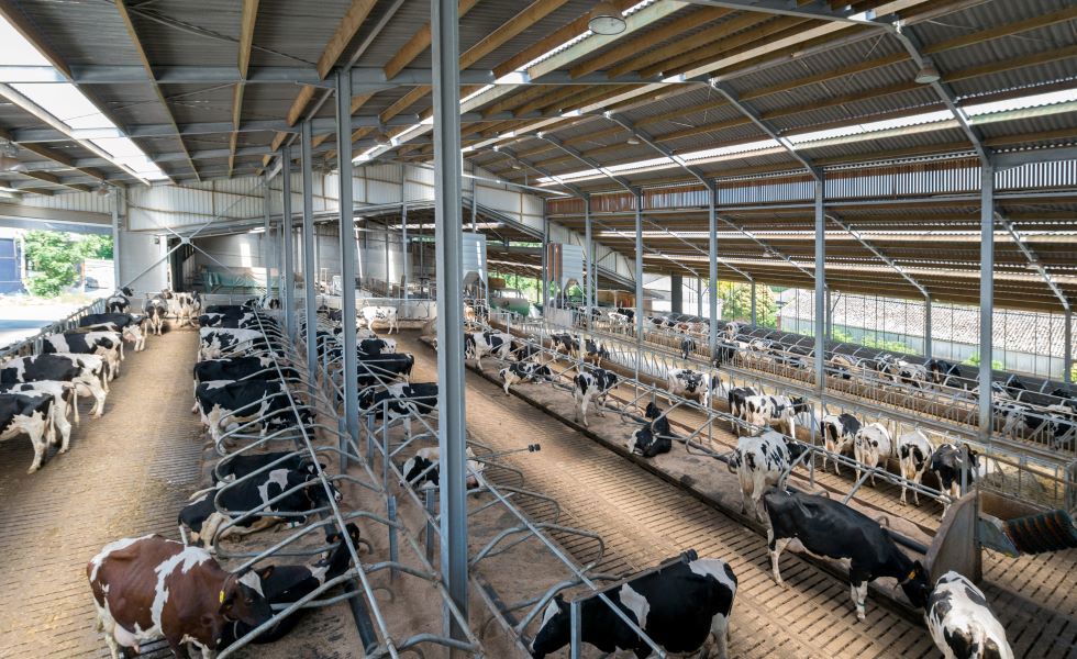 Eternit – 100 gadus ilga jumta segumu ražošanas pieredze atbilstoši lauksaimnieku vajadzībām