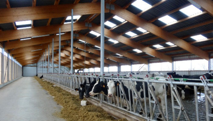 Dabiskās gaismas nozīme jūsu dzīvniekiem un lauksaimniecības ražošanas produktivitātei 