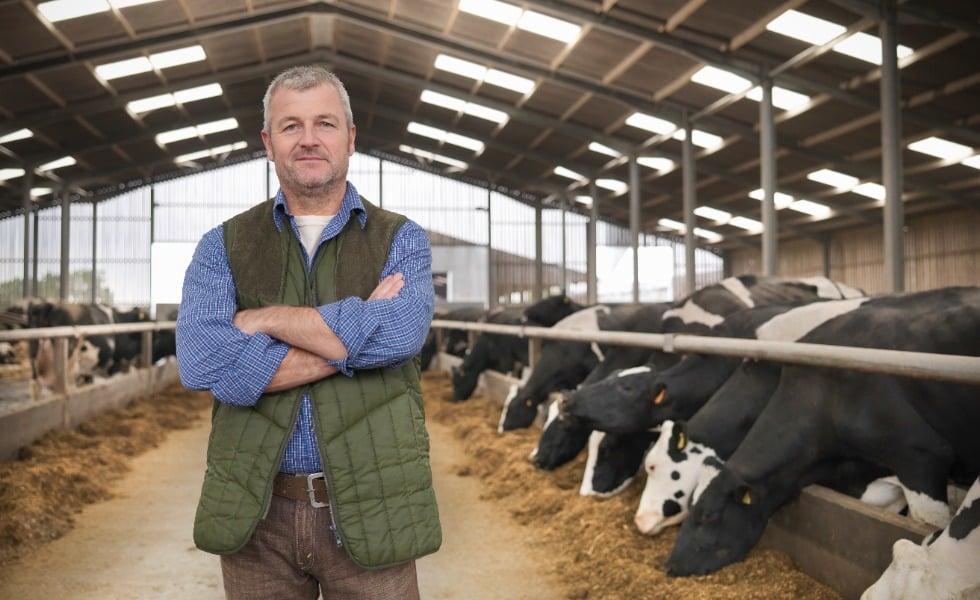 Kādēļ savu lauksaimniecības ēku jumtiem izvēlēties Eternit šķiedru cementa plāksnes?